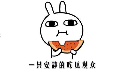 暴走吃瓜免费观看入口,畅享热门综艺，轻松解锁快乐时光  第3张